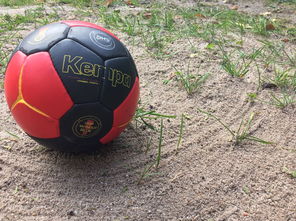 爱游戏官网-“沙滩赛场燃爆天府新区，沙滩手球和合球上演极限对决”